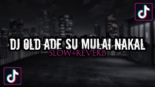 Download lagu DJ OLD ADEK SU MULAI NAKAL - SLOW & REVERB🎧 mp3 Download lagu DJ OLD ADEK SU MULAI NAKAL - SLOW & REVERB🎧 mp3