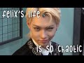 Felix’s life is a comedy show | Felix chaotic moments