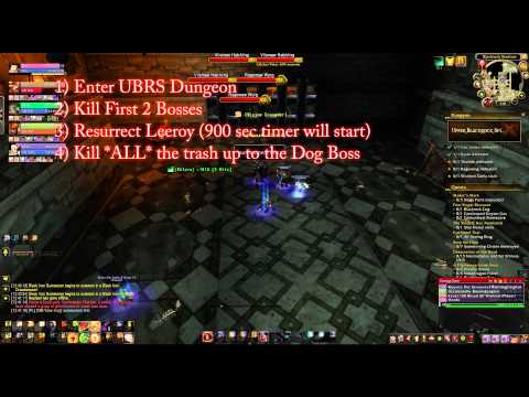 How to get Leeroy Jenkins Follower WoD