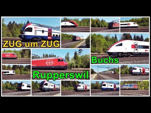 Many Swiss trains / Züge zwischen Rupperswil und Buchs, Aargau, Schweiz 2020