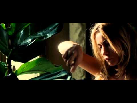 L'Enfer aka Hell  - a few scenes with Emmanuelle Béart - a film by Danis Tanovic