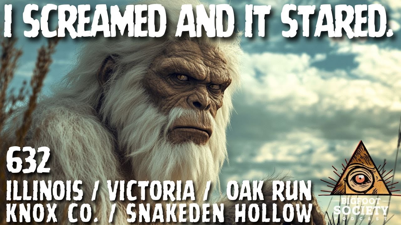 I Screamed and It Stared! | Illinois