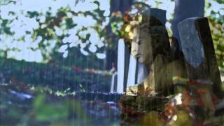 Video Procrastination - Seven Eleven