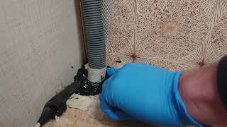 Mouse in the caravan, but not for long. How to rodent proof a camper or caravan