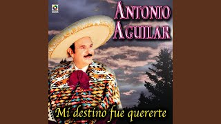 Sentimiento De Dolor