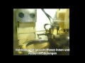 BIGIPARTS1.mpg