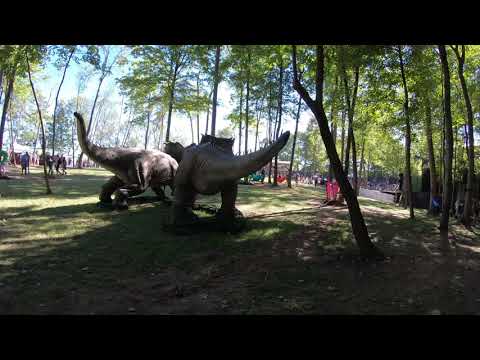 Lost Lands 2021 Festival Walkthrough