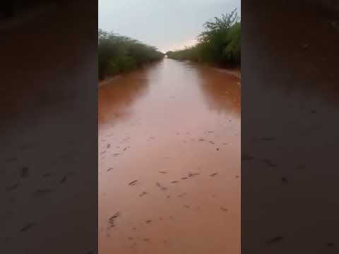 Chuva intensa interdita a BR 110 na Reta de Ibimirim próximo a Petrolândia - PE 26.02.26