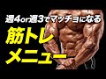 【筋トレ】おすすめのトレーニングメニューと分割法【ビーレジェンド プロテイン】