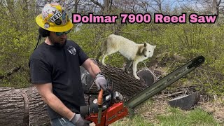 This chainsaw cuts like a laser👍🏻 Brisco Built 7900 Reed Saw with muffler.