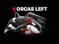 I Simulated 7 Orcas in Prehistoric Oceans… It Was Chaos DEFAULT Thumbnail