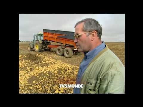 Les Glaneurs et la Glaneuse