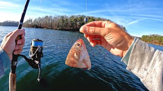 Old School Catfishing | Simple and Easy Way to Catch BIG Catfish with Minimal Gear and Setup