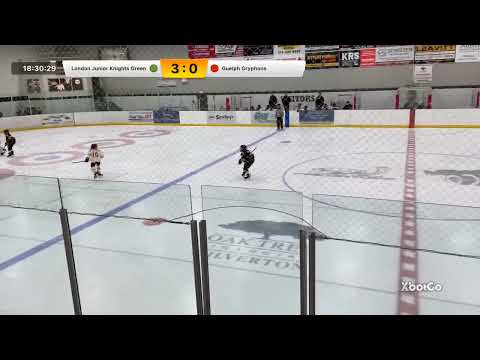 LJK U11 AA Junior Knight Green Vs Guelph Gryphons - 11-02-24