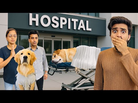 Leo Ki Surgery Hogyi | Is He Okay?💔 | Anant Rastogi