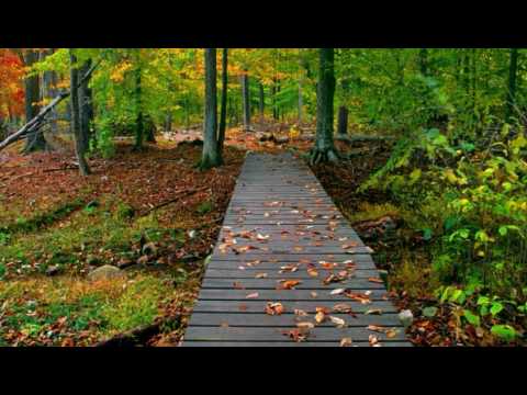 Shamim gogi20.. Happy Birthday videos