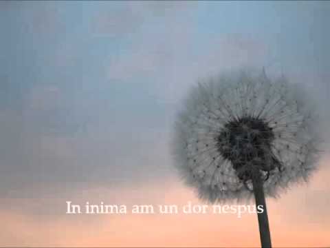 Nelu Gabor - In Inima Am Un Dor Nespus