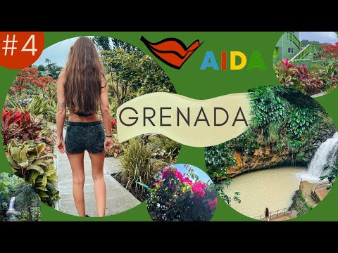 AIDAPerla Vlog #4 - Karibische Inseln: Rundfahrt auf Grenada 🍃 | Denise Darleen