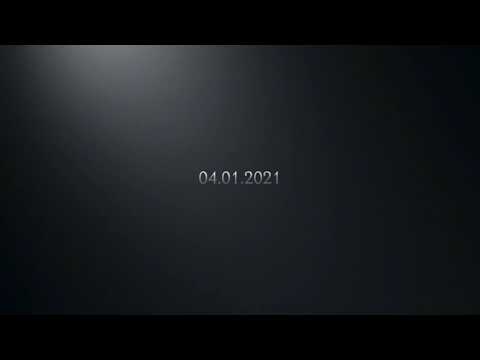 Waldmöpse im Schnee