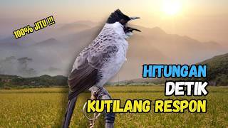 Download lagu Suara Burung Kutilang Gacor Garuda Paling Ampuh Untuk Masteran Dan Pikat mp3