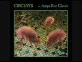 Amps for Christ - Janitor of Lunacy (Nico cover ...