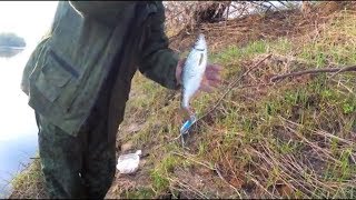 Рыбалка летом на реке