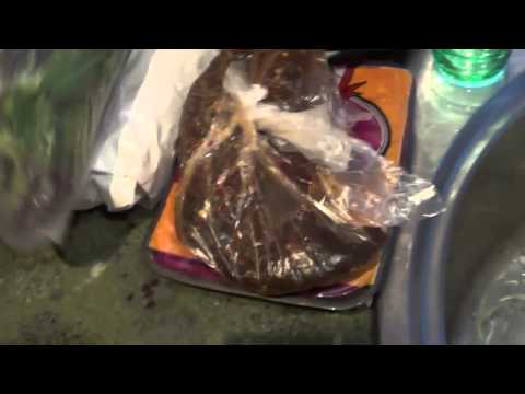 Sarah Taylor 2 x Pro Miss Universe - How I Shop!