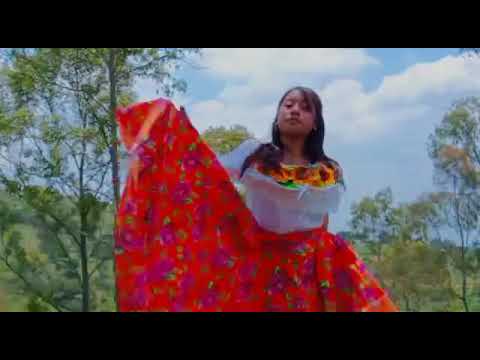 VÍDEO CLIP OFICIAL LA CHICA DEL REBOSO ALISS PEÑA BAILANDO LA MUSICA TRISTE RECUERDO DE L0B0 M1XT3C0