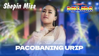 Download lagu Shepin Misa - Pacobaning Urip - New Pallapa mp3