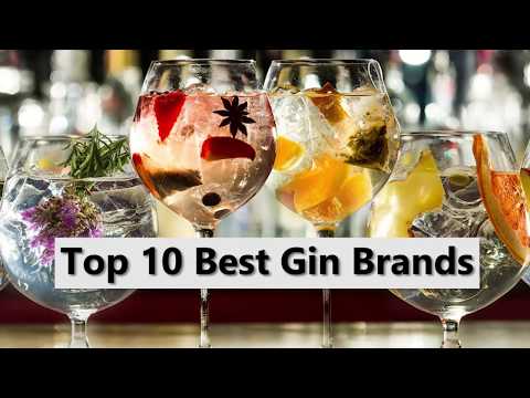 download lagu mp3 mp4 Best Rated Gin In The World, download lagu Best Rated Gin In The World gratis, unduh video klip Best Rated Gin In The World