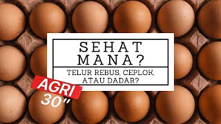 Download lagu Agri 30' - Sehat Mana Telur Rebus, Ceplok, Atau Dadar? mp3 Download lagu Agri 30' - Sehat Mana Telur Rebus, Ceplok, Atau Dadar? mp3
