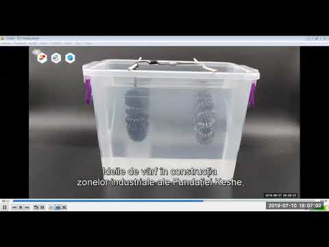 2019 07 10 PM Public Teaching in Romanian - Cursuri publice în română