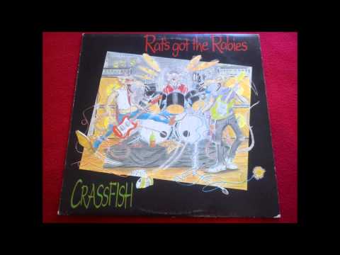 punk rock - Rat´s got the rabies  