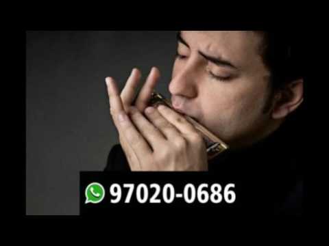 Aula de Gaita Tatuapé ✆ 97020-0686 Whatsapp - professor de gaita tatuapé - curso de gaita tatuapé