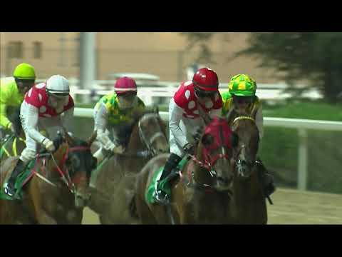 Al Ain 16:03:19 Race 7