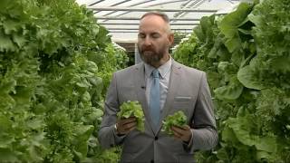 The future of farming - Vertical, hydroponic crops