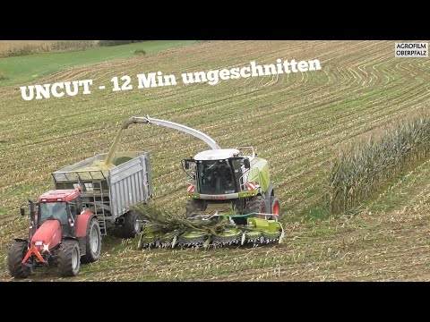 UNCUT - 12 Min ungeschnitten - Maishäckseln 2021 - Claas Jaguar 860 - LU Bücherl