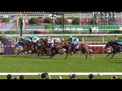 【現地撮影】2018天皇賞春・レインボーライン岩田康誠