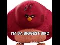 I M Da Biggest Bird