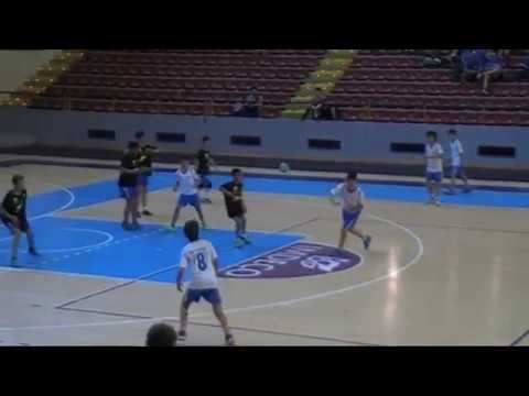 MARIANISTAS ZARAGOZA vs BM VILLAFRANCA FINAL ALEVIN MASCULINO 12-04-17.