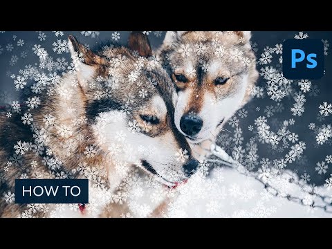 Photoshop for Beginners FREE COURSE