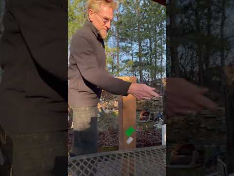 TN Nursery - Positive purchase