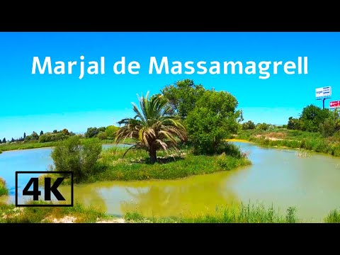 MARJAL DE MASSAMAGRELL Walking Tour - Valencia - Spain [4K|60fps]