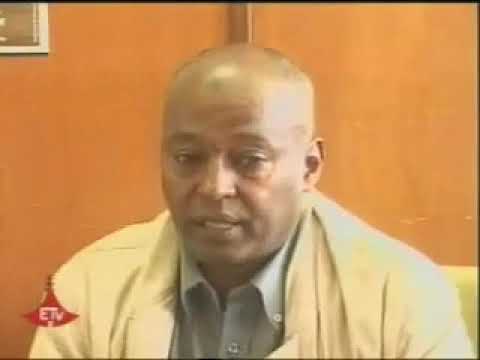 The Ancient Commercial Town in Ethiopia,  Harla M3RI13i3wWg 360p