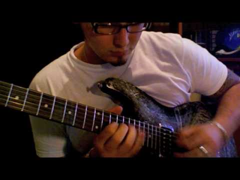 Palhetando Igual Animal