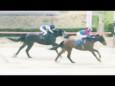 9/26-(금)-손석범-메인15.5배/승부42.0배[가야할마필]또,복병/중배당+한방의힘/다적중까지..!!