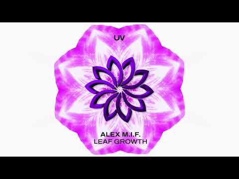 Alex M.I.F. - Leaf Growth