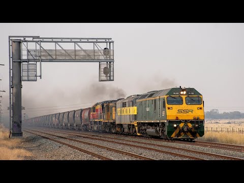 Standard Gauge Grain Train on the North East Mainline |  SSR's 1NK3 to Dimboola