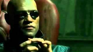 matrix-take the red pill...