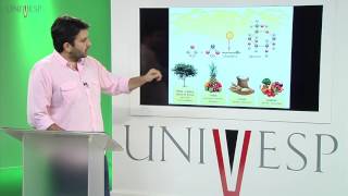 Corpo Humano: Órgãos e Sistemas - Aula 17 - Composição química dos alimentos - Metabolismo